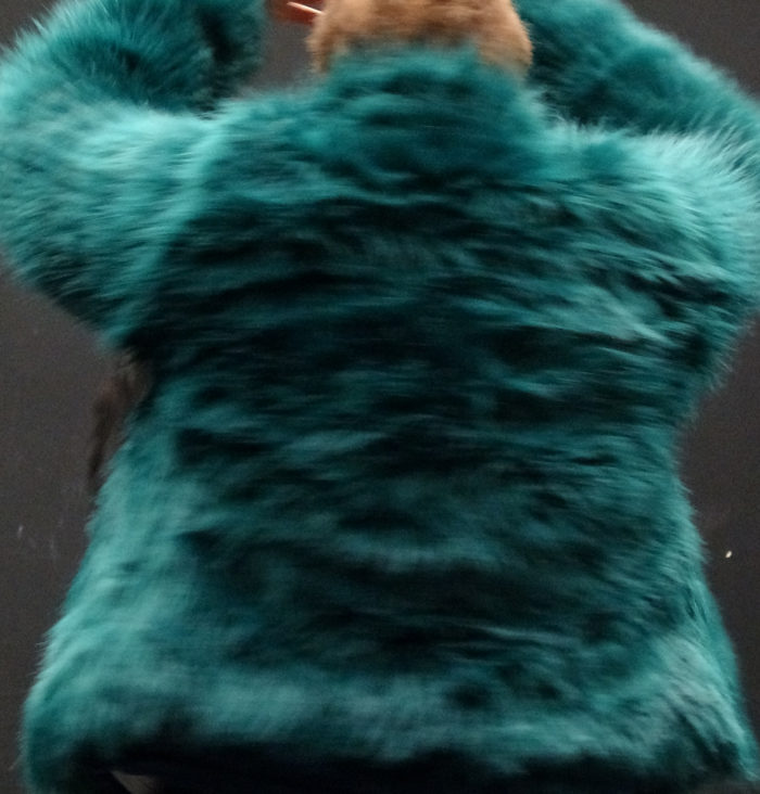 MÈTIS 2.0
