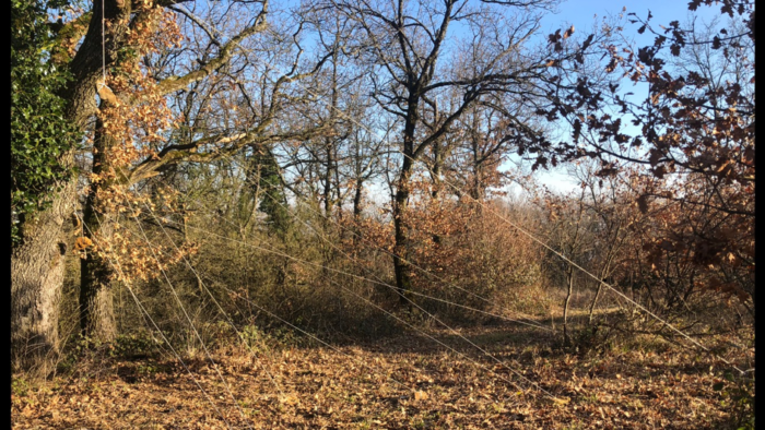 COLLECTIF LOGE 22 – JULIEN MONTY