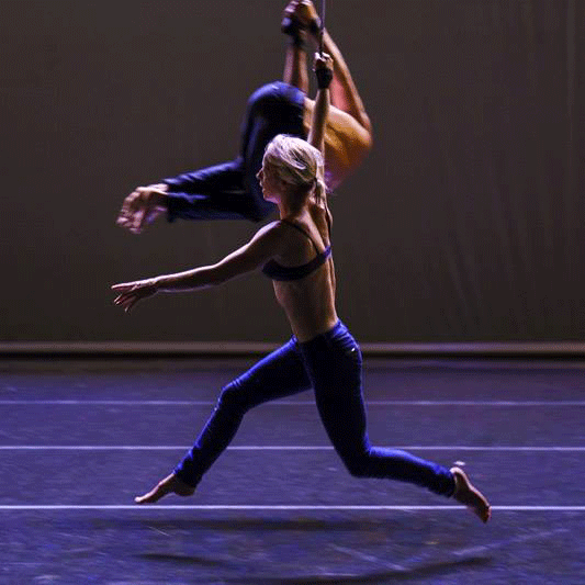 STAGE DANSE & SANGLES AÉRIENNES