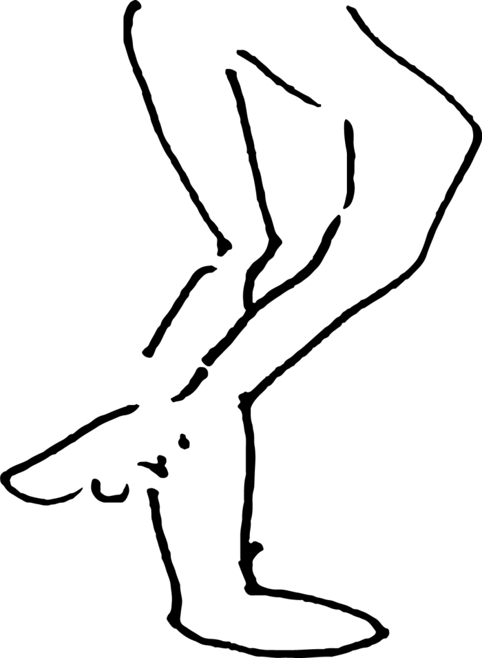 NEUFNEUF Festival